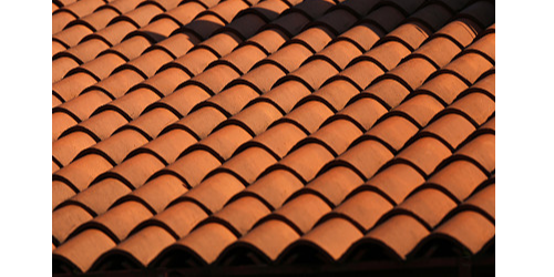 �մ���ѡ��5�����죡С��Ҳ֪����