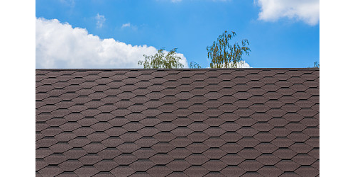 �����ߵ���������