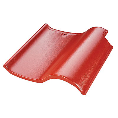 X2009 �ۺ�ɫ����