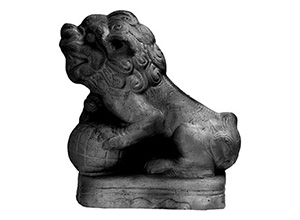 ����һʨ��