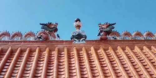 �����������е�����