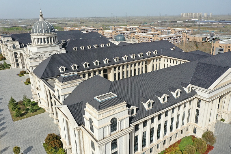 ����ũҵ��ѧ (12)