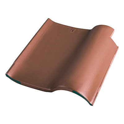 X2619 ����ɫ����