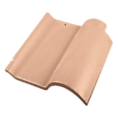 X2621 �׻�ɫ����