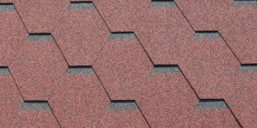 ������ʱС�������ʶƷ�ʺõ�������