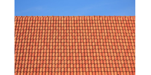 �մ���Ϊ��ʢ�ж������˥����������