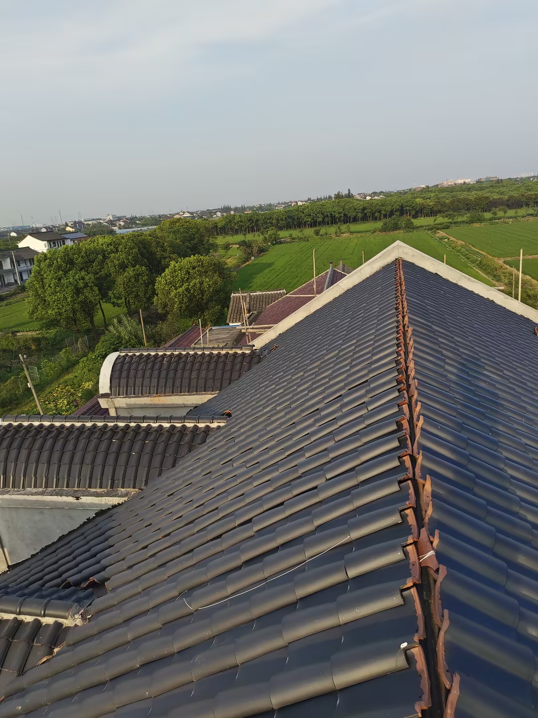 e21874801116ceab2573b8f1f540baa4