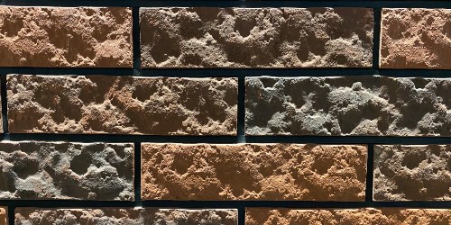 ǽ������ש������