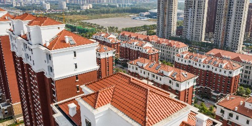 ������������������Ϊ���;�����������