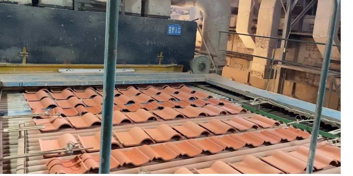 �����ߵ���ѡ����