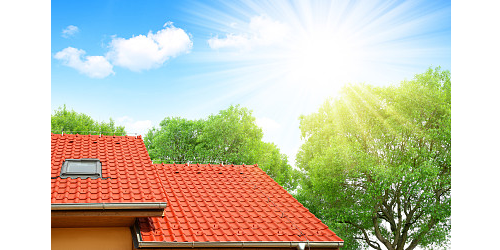 ��ɫС��Ϊʲôϲ�����մ�����?