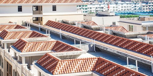 ΪʲôҪ�����ݶ���������